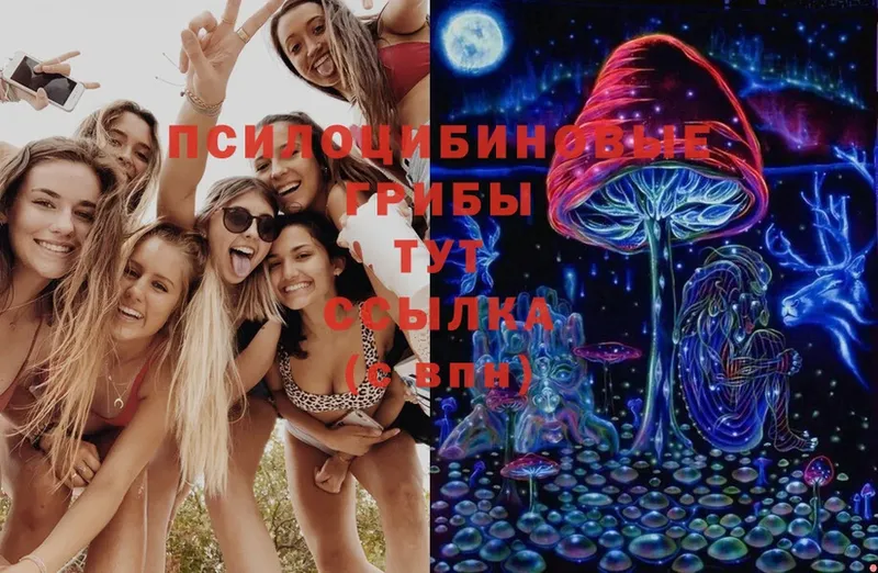 Галлюциногенные грибы Magic Shrooms Красный Кут